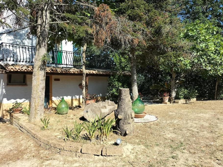 Villa Marcella Casa Vacanza Grottazzolina Exterior photo