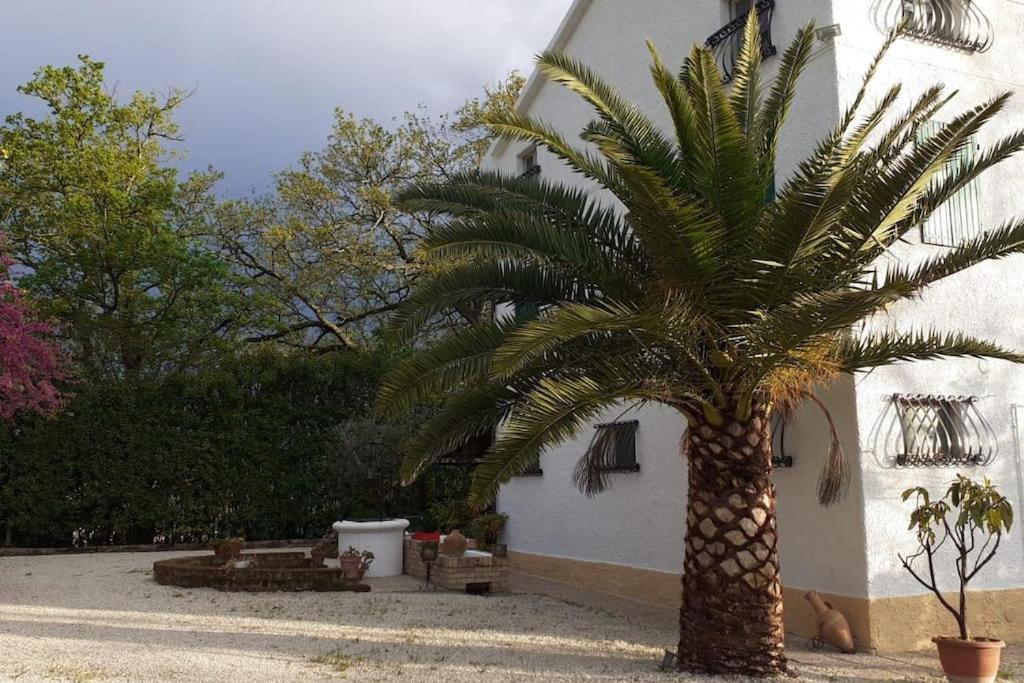 Villa Marcella Casa Vacanza Grottazzolina Exterior photo